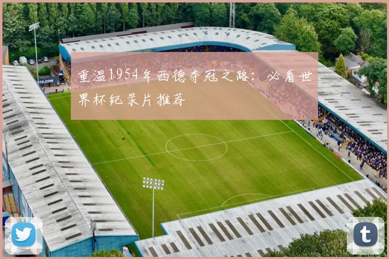 重温1954年西德夺冠之路：必看世界杯纪录片推荐