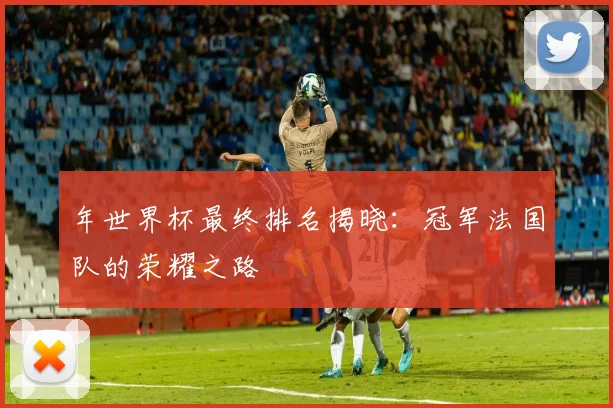 年世界杯最终排名揭晓:冠军法国队的荣耀之路