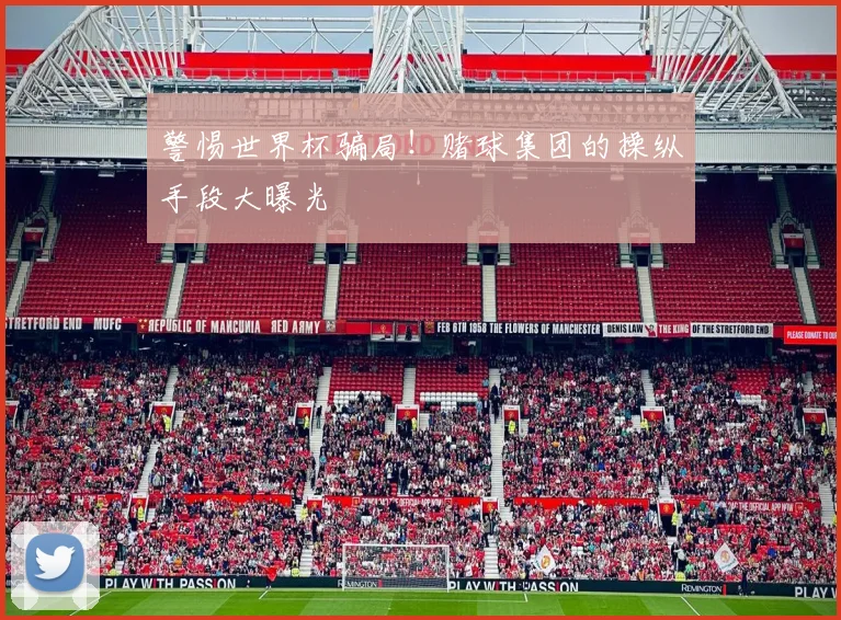 警惕世界杯骗局！赌球集团的操纵手段大曝光