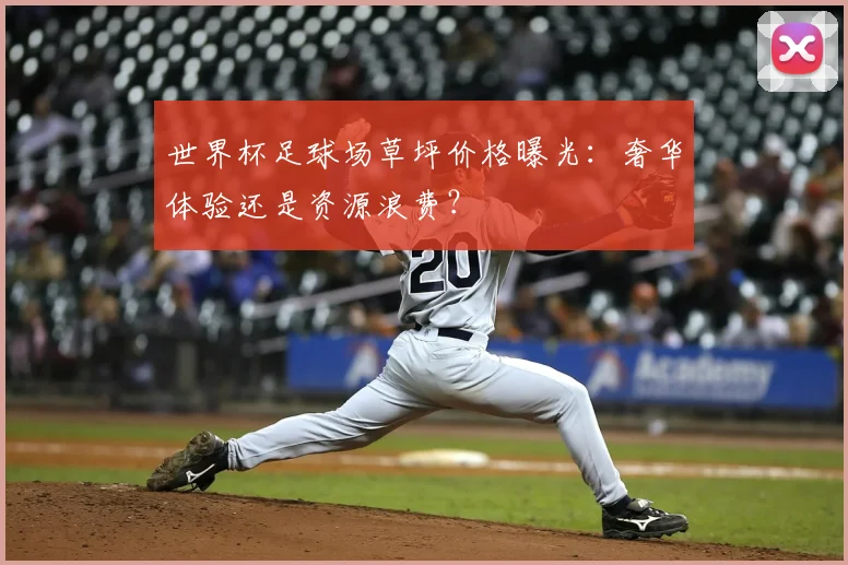 世界杯足球场草坪价格曝光：奢华体验还是资源浪费？