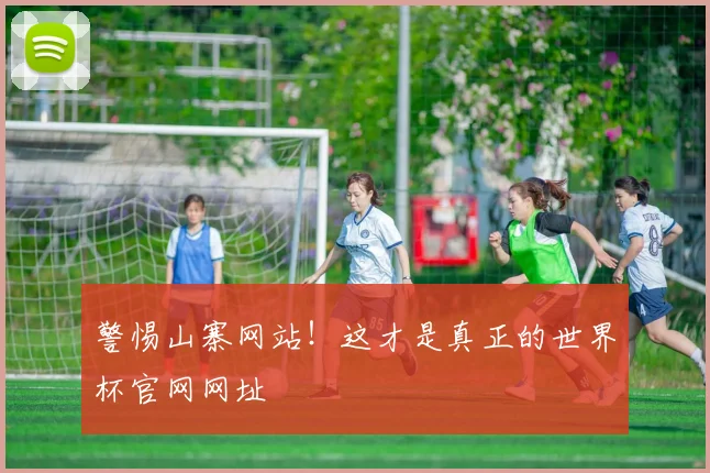 警惕山寨网站！这才是真正的世界杯官网网址