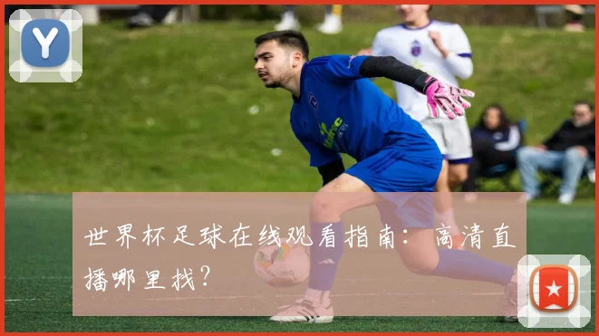 世界杯足球在线观看指南：高清直播哪里找？