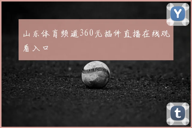 山东体育频道360无插件直播在线观看入口